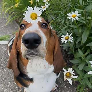Ellie Mae
