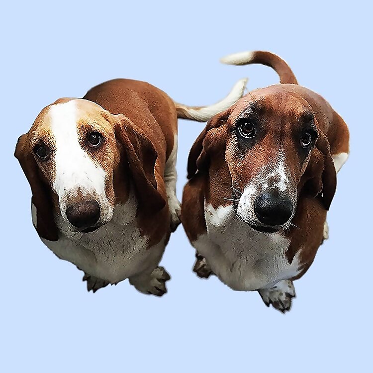 Lola & Maya