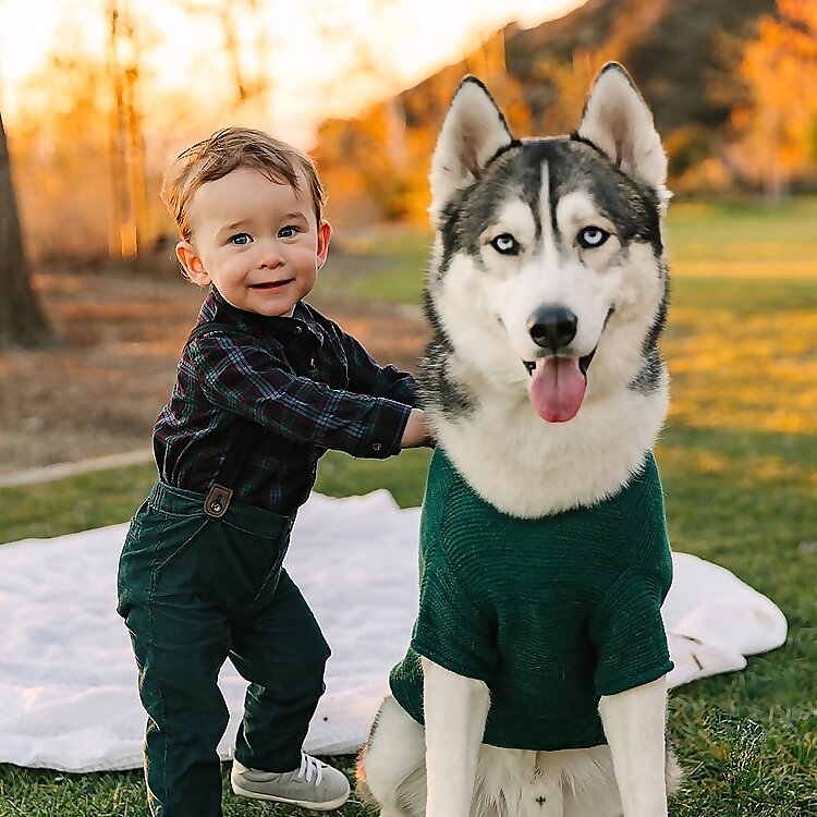 Theo