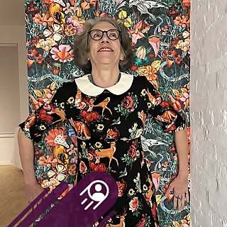 Judith Schaechter