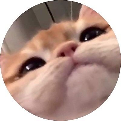 Ellie Mochi