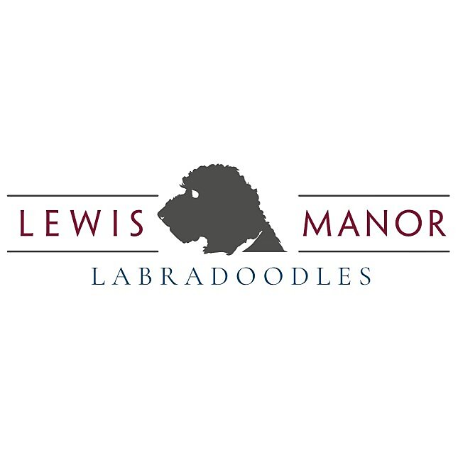 Miles Lewis