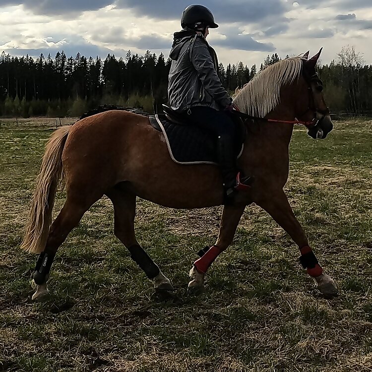Inca Bella
