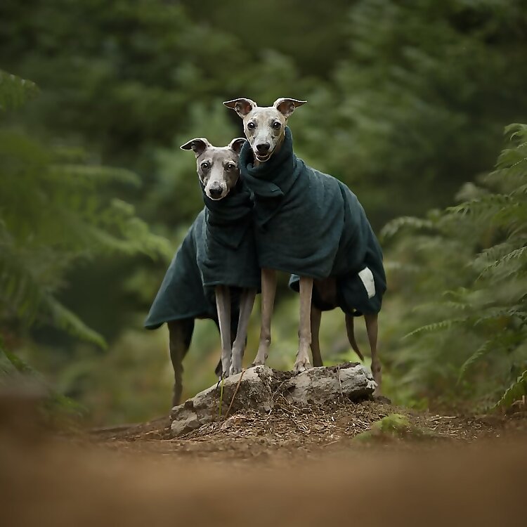 Ernie & Olive