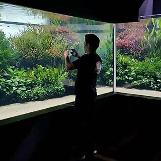 Josh Sim