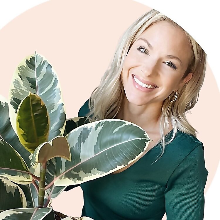 Dana 