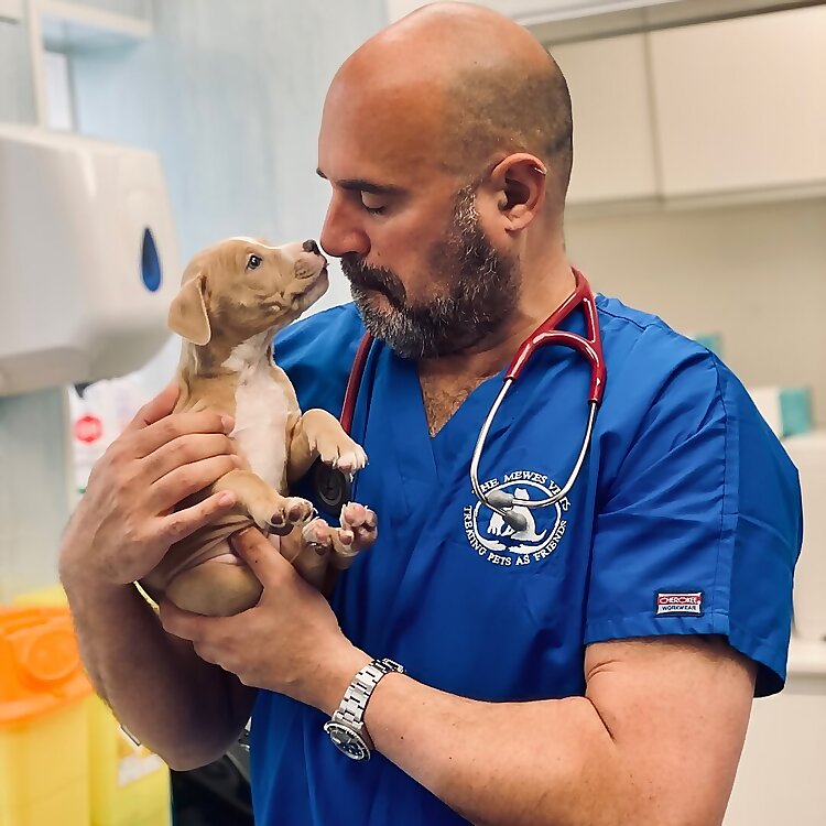 Dr. Marc Abraham 