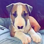 Lola