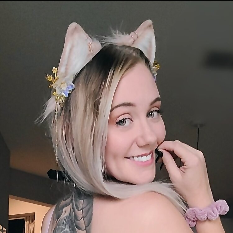 Kiku Kitten