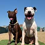 Ron, Gypsy & Lora