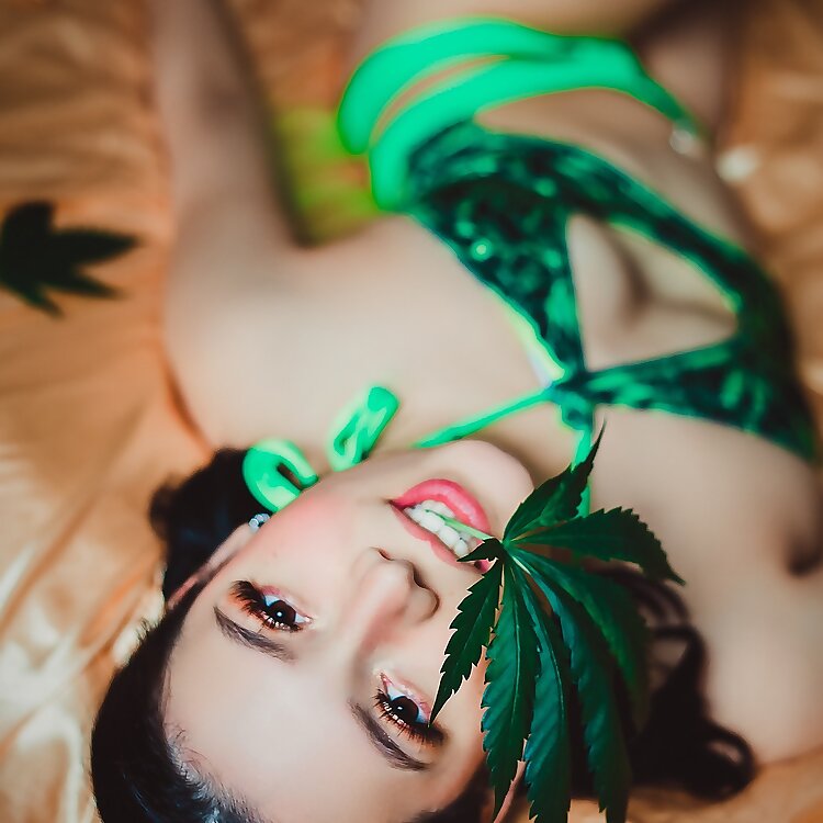 Stella Virgin 