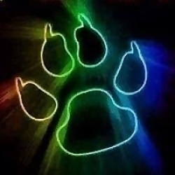 Top Dog 