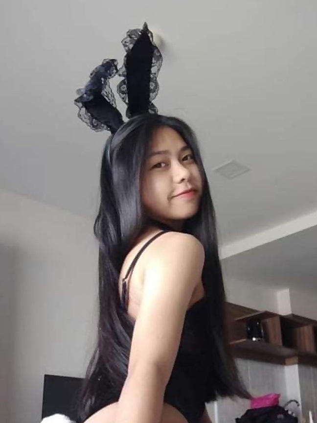 littlesheep