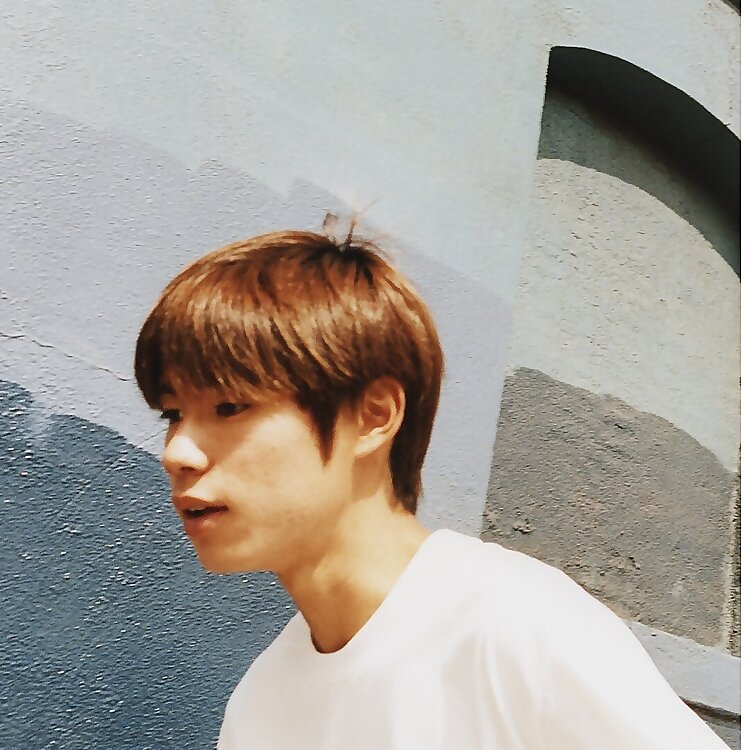 Yuto Horigome