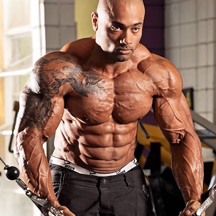 Vitor Nogueira