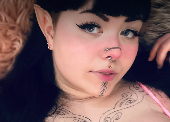 Disa skvis
