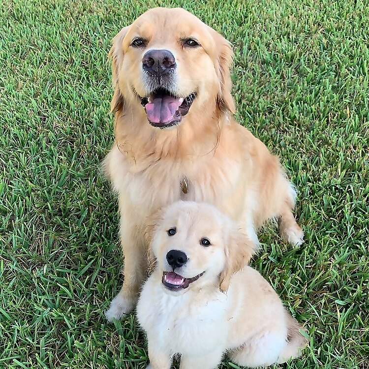 Xena & Finn