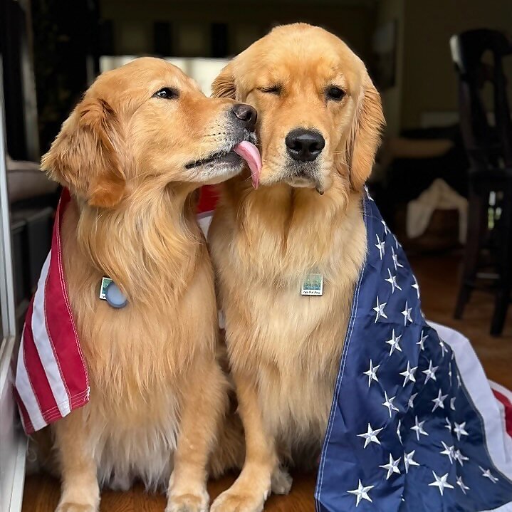 Blu and Benny