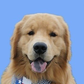 Cooper