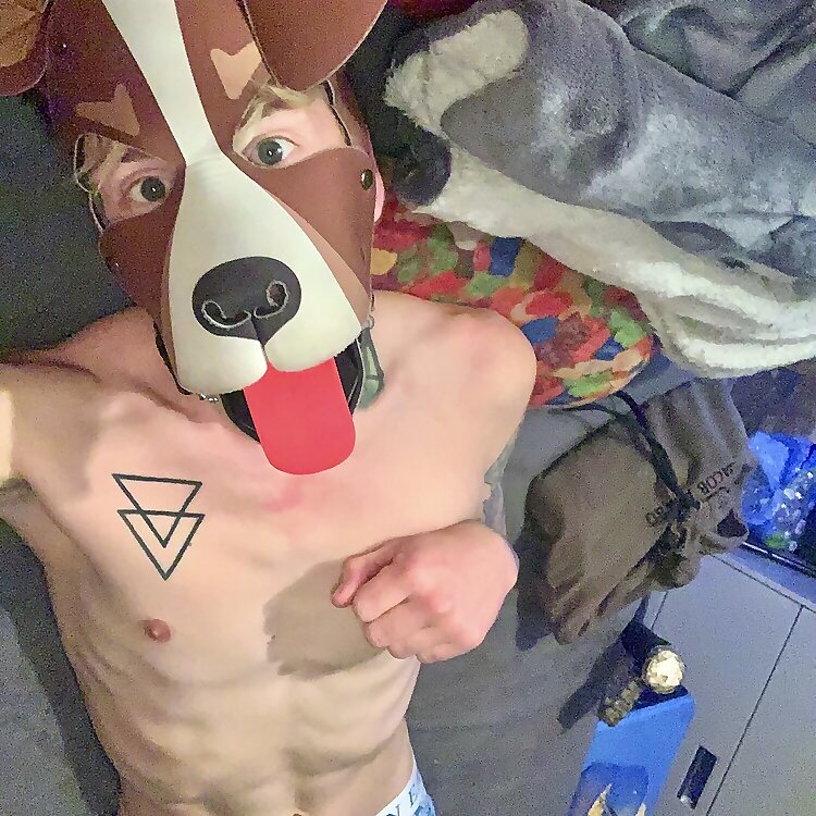 Puppy