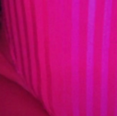 Jessica Rabbit 