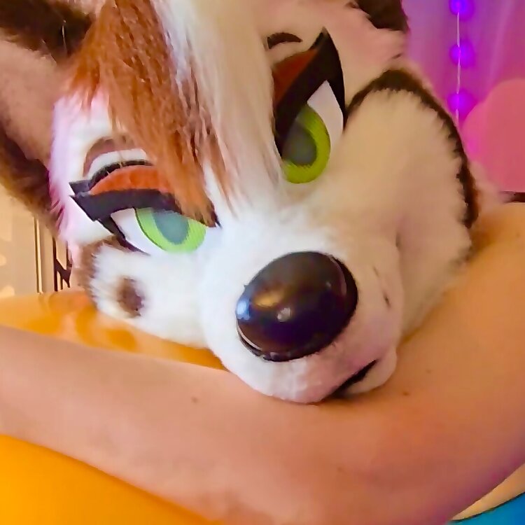 Sundae Huskie