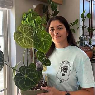 Gabby
