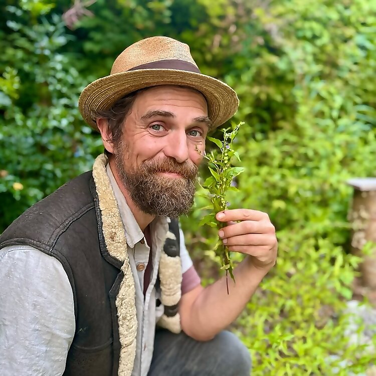 Yarrow Willard