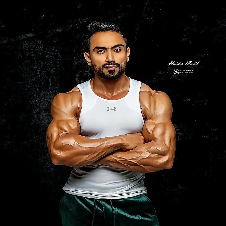Haider Malik