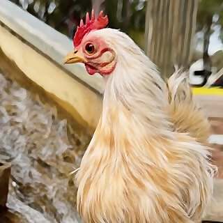 Esther