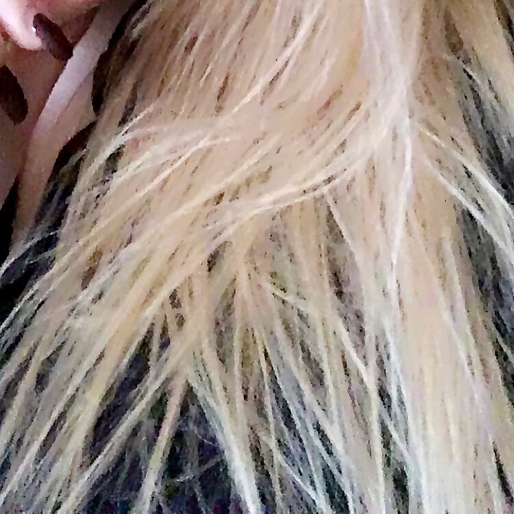 Emmy