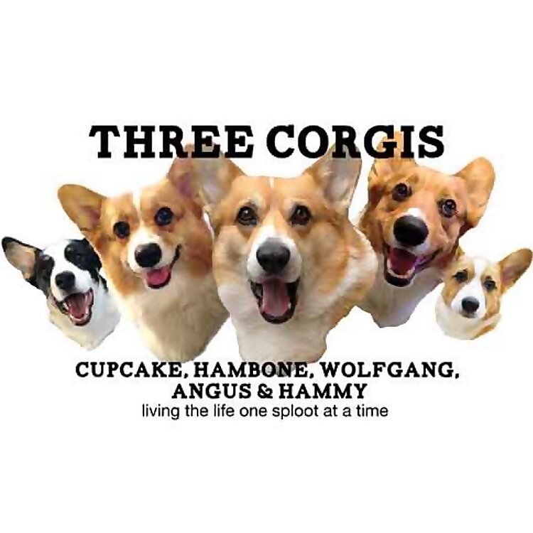 Three Corgis