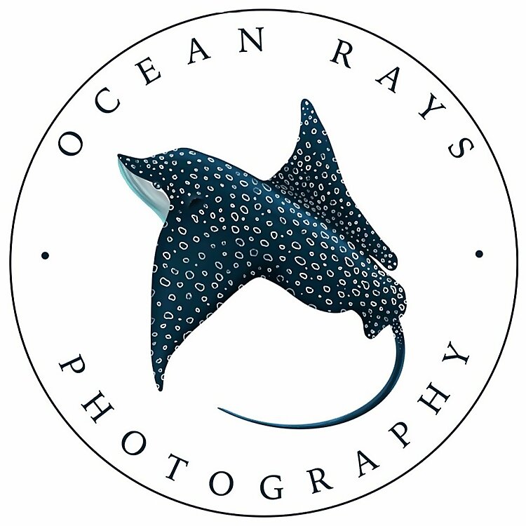 Rayna O'Nan