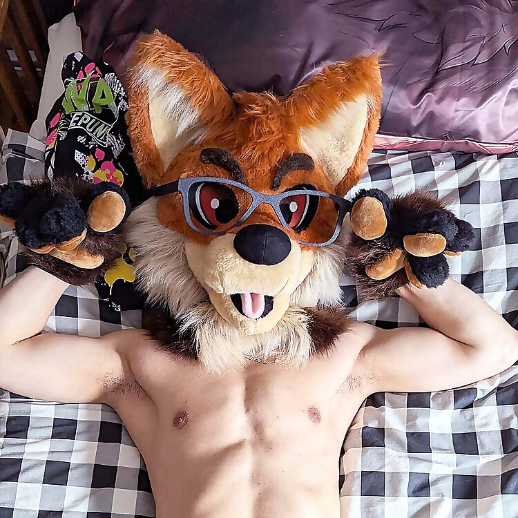Foxy Shiro
