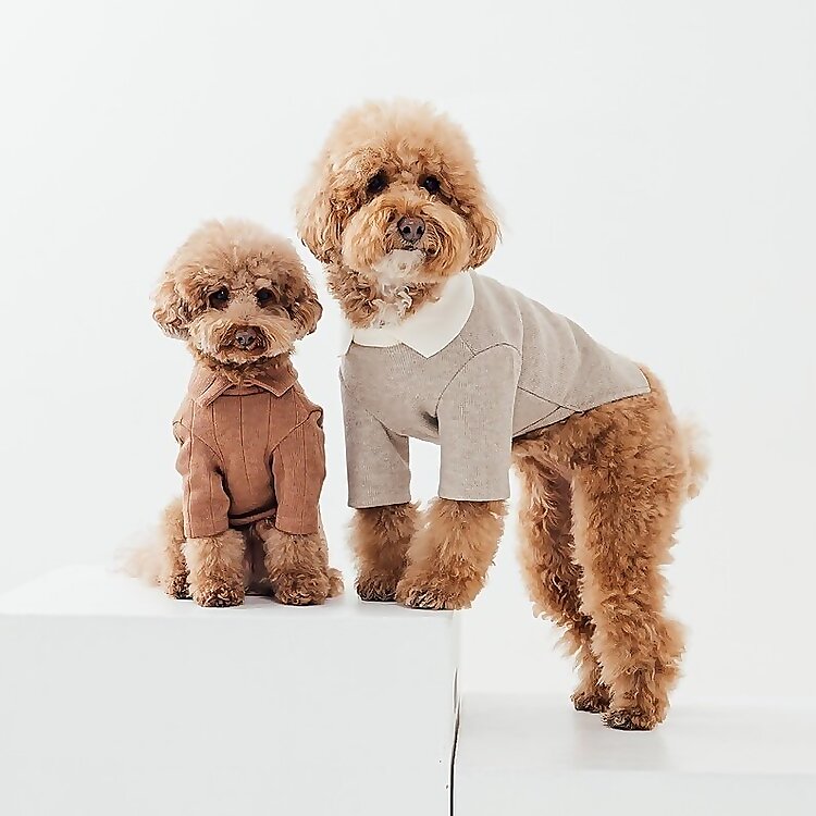 Archie & Remi