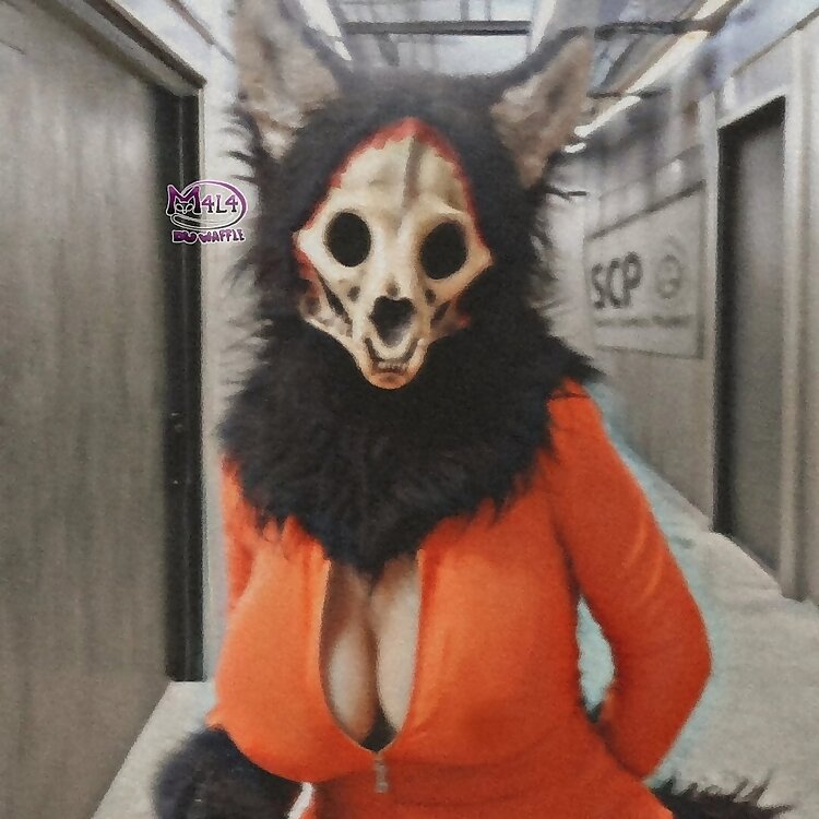 M4L4