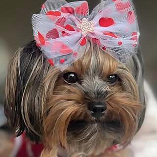 Mia Love