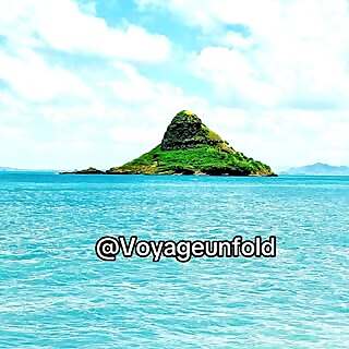 Voyage Unfold